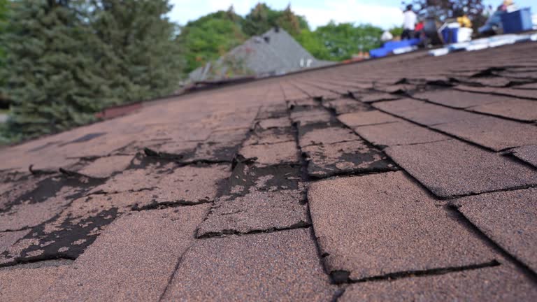 Best Roof Coating and Sealing  in Havre, MT