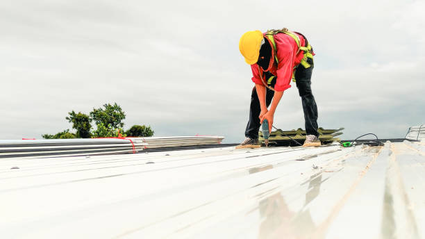 Best Skylight Installation and Repair  in Havre, MT