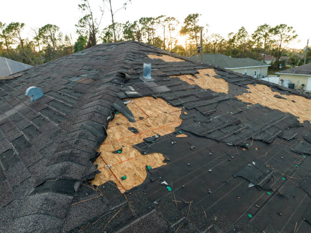 Best Steel Roofing  in Havre, MT